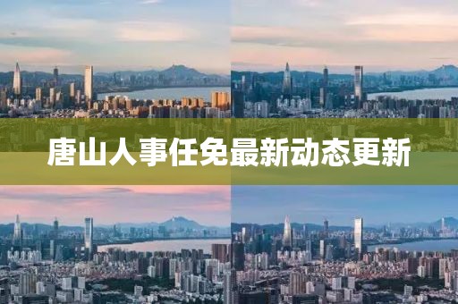 唐山人事任免最新动态更新
