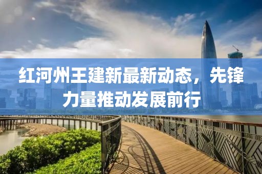 红河州王建新最新动态，先锋力量推动发展前行