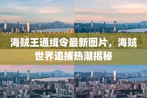 海贼王通缉令最新图片，海贼世界追捕热潮揭秘
