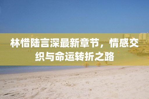 林惜陆言深最新章节，情感交织与命运转折之路