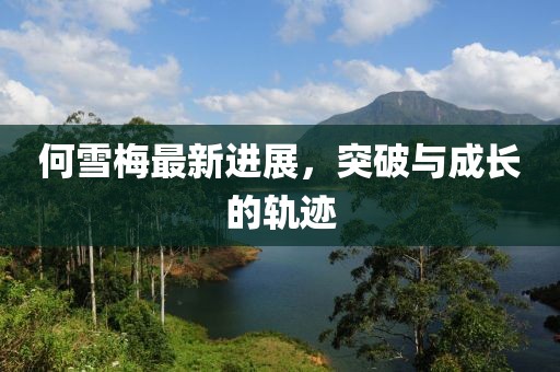 何雪梅最新进展，突破与成长的轨迹