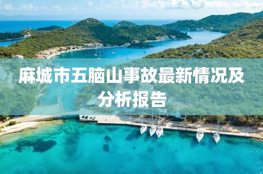 麻城市五脑山事故最新情况及分析报告