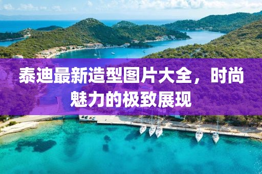泰迪最新造型图片大全，时尚魅力的极致展现