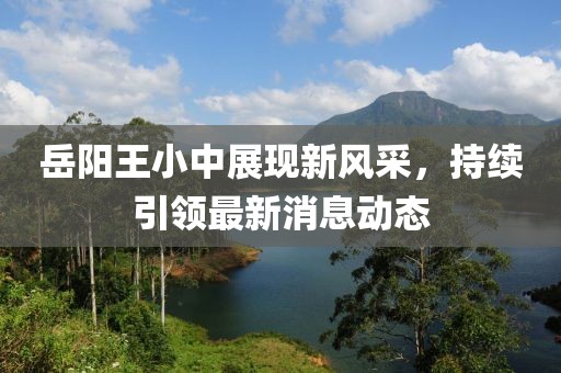 岳阳王小中展现新风采，持续引领最新消息动态