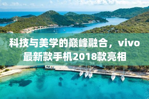 科技与美学的巅峰融合，vivo最新款手机2018款亮相