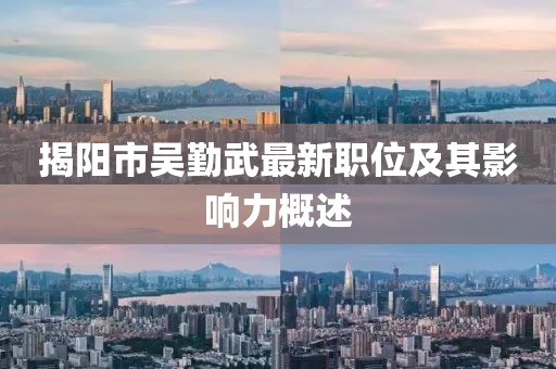 揭阳市吴勤武最新职位及其影响力概述