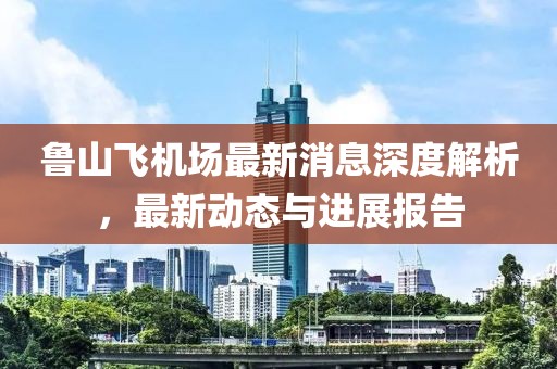 鲁山飞机场最新消息深度解析，最新动态与进展报告