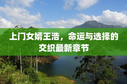 上门女婿王浩，命运与选择的交织最新章节