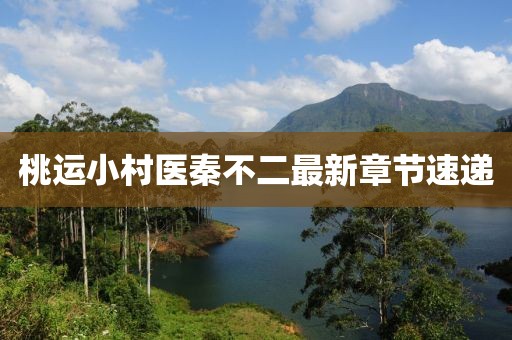 桃运小村医秦不二最新章节速递