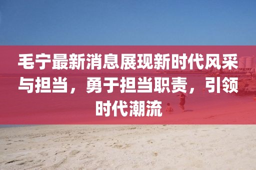 毛宁最新消息展现新时代风采与担当，勇于担当职责，引领时代潮流