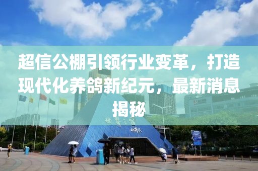 超信公棚引领行业变革，打造现代化养鸽新纪元，最新消息揭秘