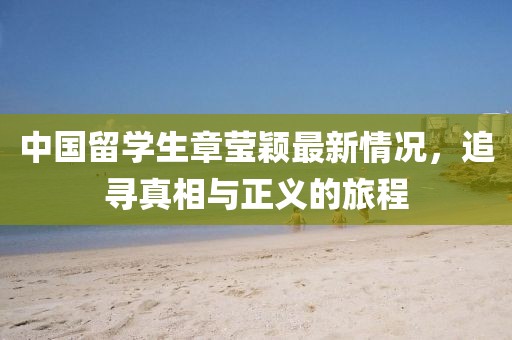 中国留学生章莹颖最新情况，追寻真相与正义的旅程