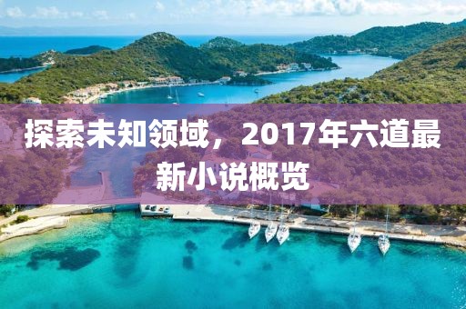 探索未知领域，2017年六道最新小说概览