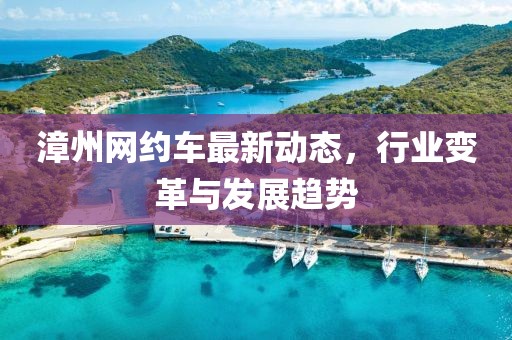 漳州网约车最新动态，行业变革与发展趋势