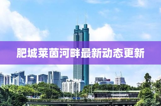 肥城莱茵河畔最新动态更新