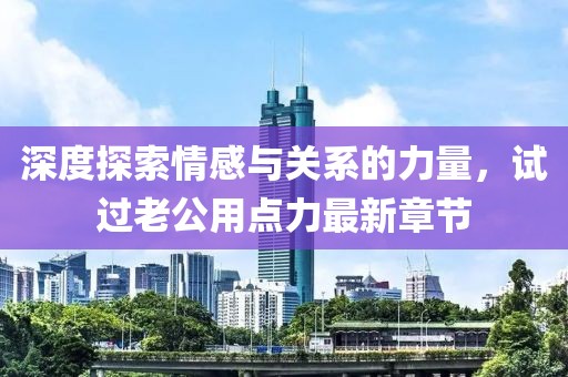 深度探索情感与关系的力量，试过老公用点力最新章节