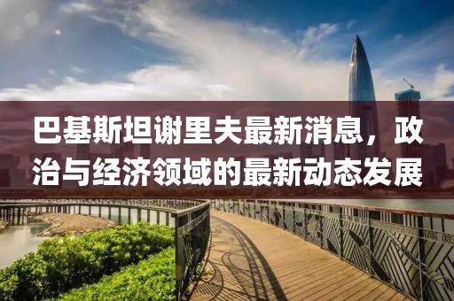 巴基斯坦谢里夫最新消息，政治与经济领域的最新动态发展