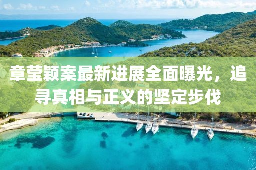 章莹颖案最新进展全面曝光，追寻真相与正义的坚定步伐