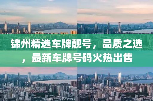 锦州精选车牌靓号，品质之选，最新车牌号码火热出售