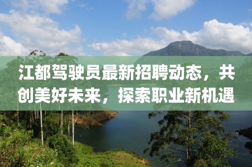 江都驾驶员最新招聘动态，共创美好未来，探索职业新机遇