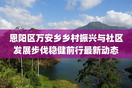 恩阳区万安乡乡村振兴与社区发展步伐稳健前行最新动态
