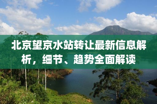 北京望京水站转让最新信息解析，细节、趋势全面解读