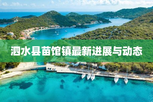 泗水县苗馆镇最新进展与动态