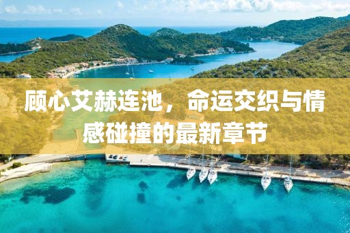 顾心艾赫连池，命运交织与情感碰撞的最新章节