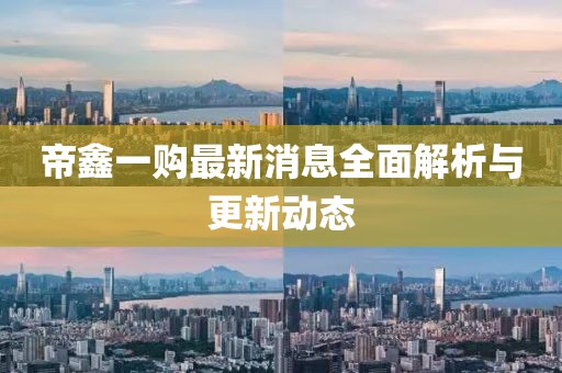 帝鑫一购最新消息全面解析与更新动态