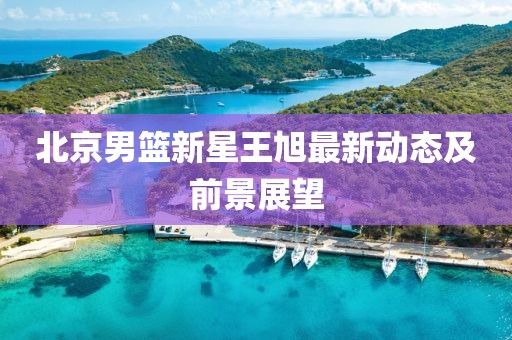 北京男篮新星王旭最新动态及前景展望