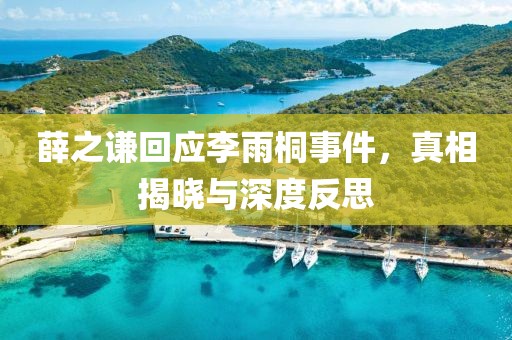 薛之谦回应李雨桐事件，真相揭晓与深度反思