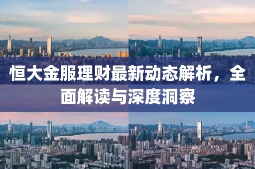 恒大金服理财最新动态解析，全面解读与深度洞察