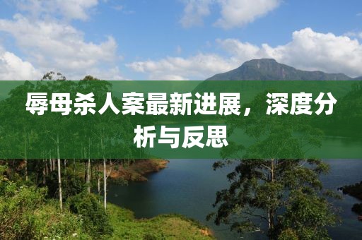 辱母杀人案最新进展，深度分析与反思