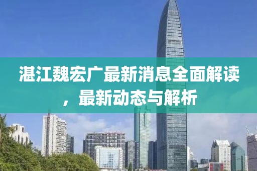 湛江魏宏广最新消息全面解读，最新动态与解析