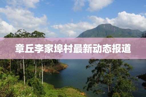 章丘李家埠村最新动态报道