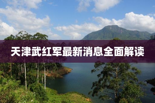 天津武红军最新消息全面解读