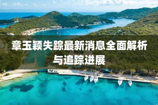 章玉颖失踪最新消息全面解析与追踪进展