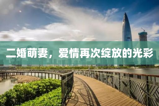 二婚萌妻，爱情再次绽放的光彩