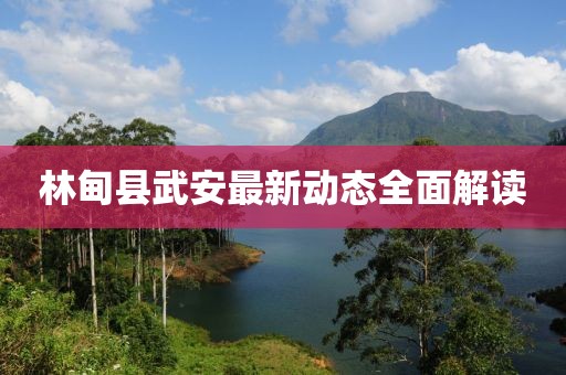 林甸县武安最新动态全面解读