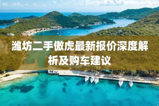 潍坊二手傲虎最新报价深度解析及购车建议