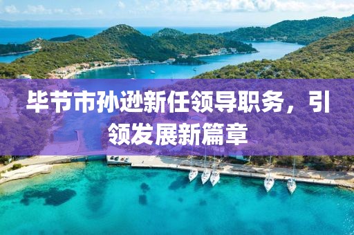 毕节市孙逊新任领导职务，引领发展新篇章