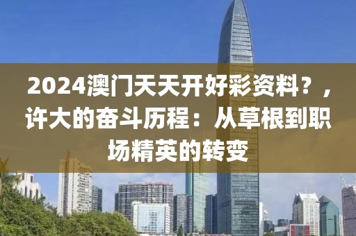 2024澳门天天开好彩资料？,许大的奋斗历程：从草根到职场精英的转变