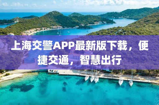 上海交警APP最新版下载，便捷交通，智慧出行