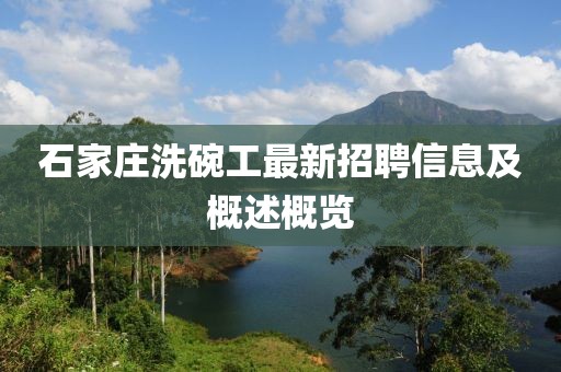 石家庄洗碗工最新招聘信息及概述概览