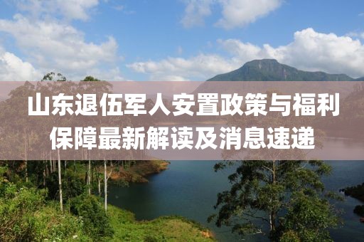 山东退伍军人安置政策与福利保障最新解读及消息速递