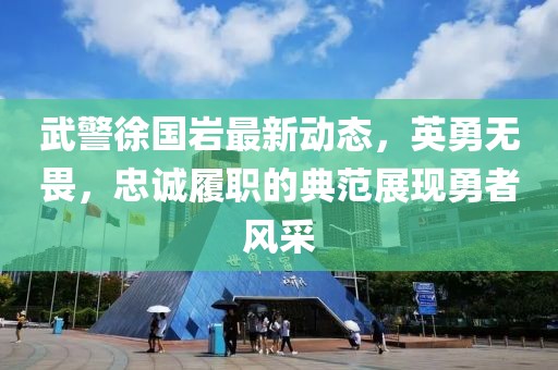 武警徐国岩最新动态，英勇无畏，忠诚履职的典范展现勇者风采