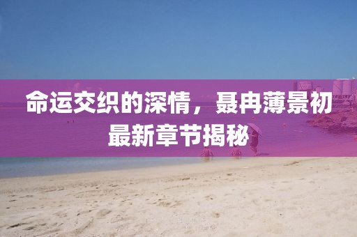 命运交织的深情，聂冉薄景初最新章节揭秘