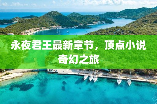 永夜君王最新章节，顶点小说奇幻之旅