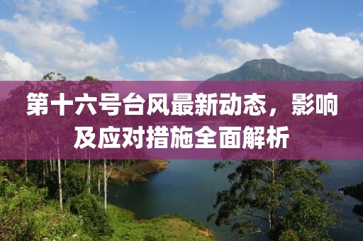 第十六号台风最新动态，影响及应对措施全面解析