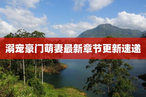 溺宠豪门萌妻最新章节更新速递